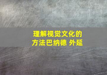 理解视觉文化的方法巴纳德 外延